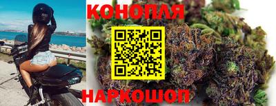 spice Заводоуковск